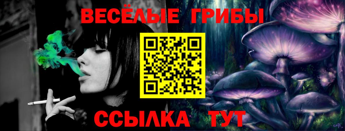 купить   Псилоцибиновые грибы Cubensis  Вход с VPN  Губкинский 