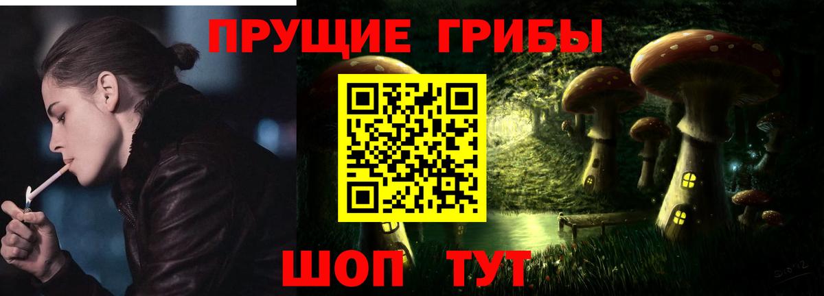 Псилоцибиновые грибы ЛСД Губкинский
