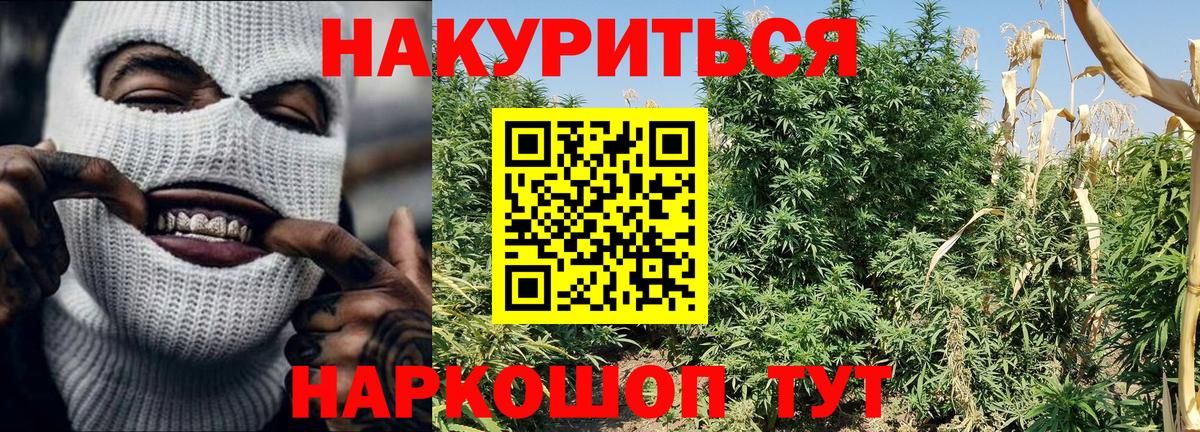 Бошки марихуана планчик  Канабис VHQ  Бошки Шишки White Widow  Губкинский  Вход с VPN 